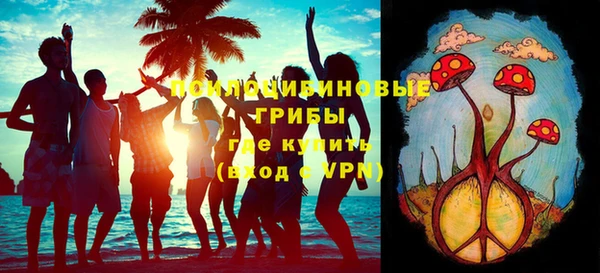 ПСИЛОЦИБИНОВЫЕ ГРИБЫ Тихвин