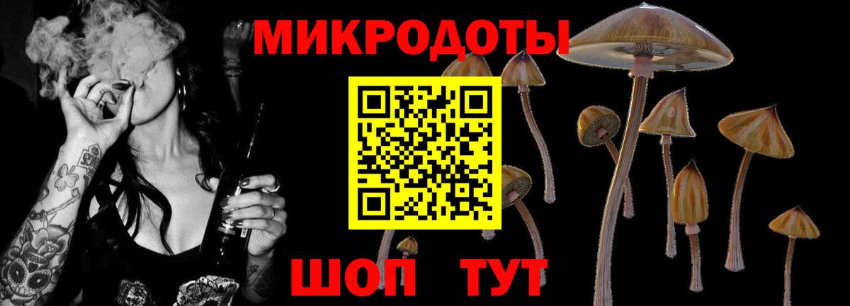 Галлюциногенные грибы MAGIC MUSHROOMS Мариинск